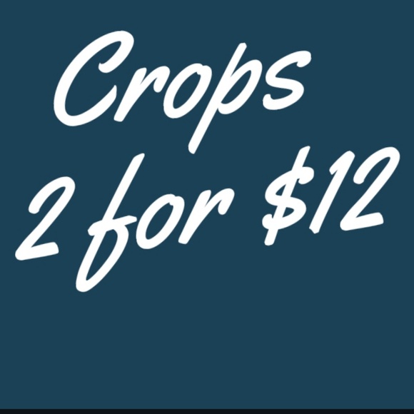 Bright Crop Top - Picture 5 of 5